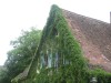 entenangeln_2013_32